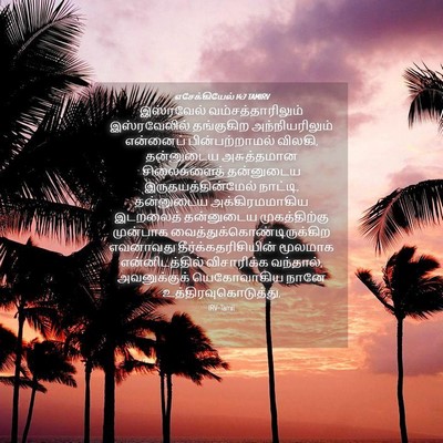Picture 04 - எசேக்கியேல் 14:7 TAMIRV - இஸ்ரவேல் - Bible Verse Picture