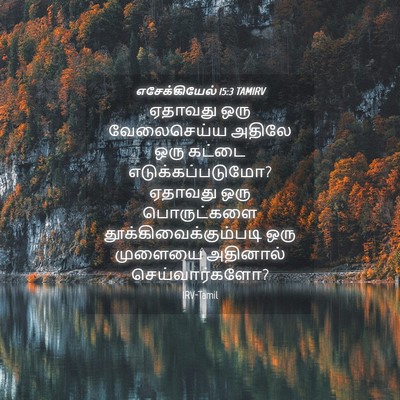 Picture 04 - எசேக்கியேல் 15:3 TAMIRV - ஏதாவது ஒரு - Bible Verse Picture