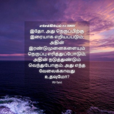 Picture 04 - எசேக்கியேல் 15:4 TAMIRV - இதோ, அது - Bible Verse Picture