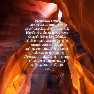 Picture 04 - எசேக்கியேல் 15:7 TAMIRV - என்னுடைய முகத்தை - Bible Verse Picture