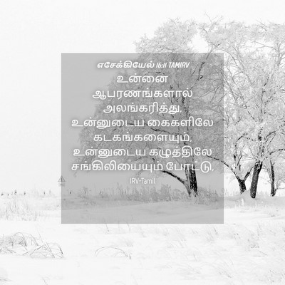 Picture 04 - எசேக்கியேல் 16:11 TAMIRV - உன்னை ஆபரணங்களால் - Bible Verse Picture