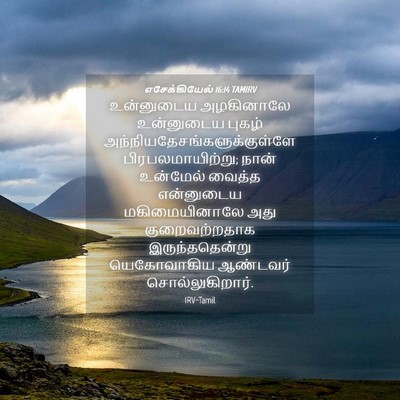 Picture 04 - எசேக்கியேல் 16:14 TAMIRV - உன்னுடைய அழகினாலே - Bible Verse Picture