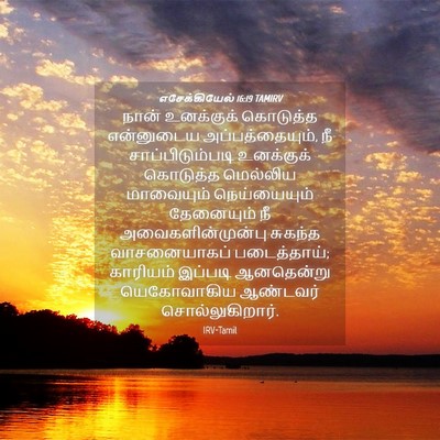 Picture 04 - எசேக்கியேல் 16:19 TAMIRV - நான் உனக்குக் - Bible Verse Picture
