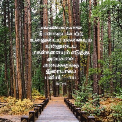 Picture 04 - எசேக்கியேல் 16:20 TAMIRV - நீ எனக்குப் பெற்ற - Bible Verse Picture
