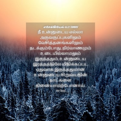 Picture 04 - எசேக்கியேல் 16:22 TAMIRV - நீ உன்னுடைய எல்லா - Bible Verse Picture