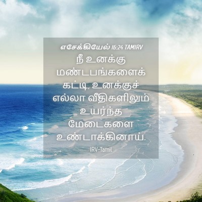 Picture 04 - எசேக்கியேல் 16:24 TAMIRV - நீ உனக்கு - Bible Verse Picture
