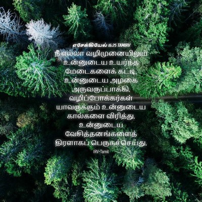 Picture 04 - எசேக்கியேல் 16:25 TAMIRV - நீ எல்லா - Bible Verse Picture