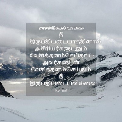 Picture 04 - எசேக்கியேல் 16:28 TAMIRV - நீ - Bible Verse Picture