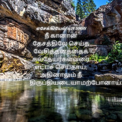 Picture 04 - எசேக்கியேல் 16:29 TAMIRV - நீ கானான் - Bible Verse Picture
