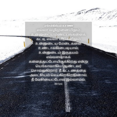 Picture 04 - எசேக்கியேல் 16:31 TAMIRV - எல்லா - Bible Verse Picture