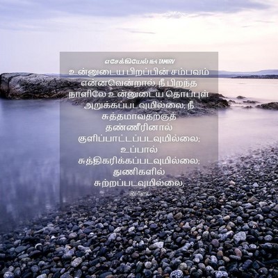 Picture 04 - எசேக்கியேல் 16:4 TAMIRV - உன்னுடைய - Bible Verse Picture