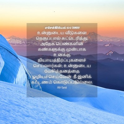 Picture 04 - எசேக்கியேல் 16:41 TAMIRV - உன்னுடைய வீடுகளை - Bible Verse Picture