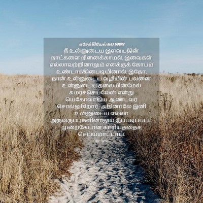 Picture 04 - எசேக்கியேல் 16:43 TAMIRV - நீ உன்னுடைய - Bible Verse Picture