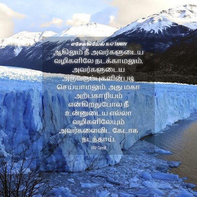 Picture 04 - எசேக்கியேல் 16:47 TAMIRV - ஆகிலும் நீ - Bible Verse Picture