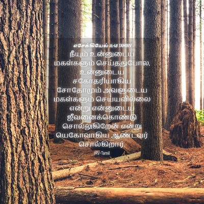 Picture 04 - எசேக்கியேல் 16:48 TAMIRV - நீயும் உன்னுடைய - Bible Verse Picture
