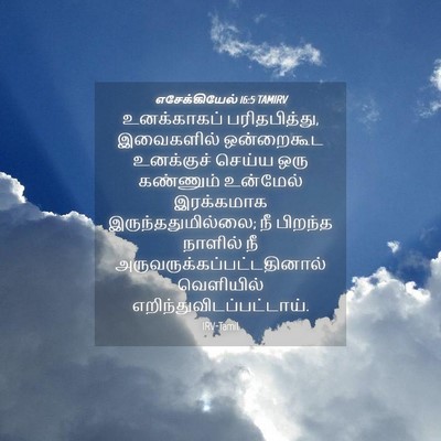 Picture 04 - எசேக்கியேல் 16:5 TAMIRV - உனக்காகப் - Bible Verse Picture