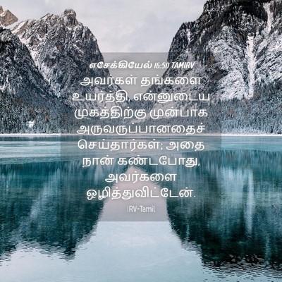 Picture 04 - எசேக்கியேல் 16:50 TAMIRV - அவர்கள் தங்களை - Bible Verse Picture