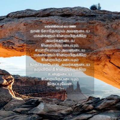 Picture 04 - எசேக்கியேல் 16:53 TAMIRV - நான் சோதோமும் - Bible Verse Picture