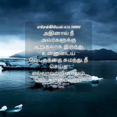Picture 04 - எசேக்கியேல் 16:54 TAMIRV - அதினால் நீ - Bible Verse Picture