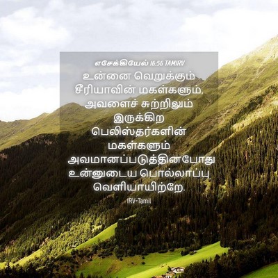 Picture 04 - எசேக்கியேல் 16:56 TAMIRV - உன்னை வெறுக்கும் - Bible Verse Picture