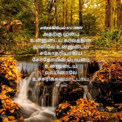 Picture 04 - எசேக்கியேல் 16:57 TAMIRV - அதற்கு முன்பு - Bible Verse Picture