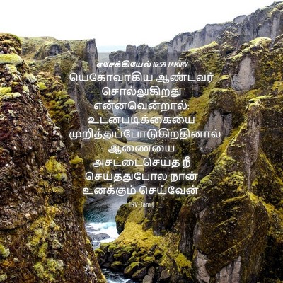 Picture 04 - எசேக்கியேல் 16:59 TAMIRV - யெகோவாகிய ஆண்டவர் - Bible Verse Picture