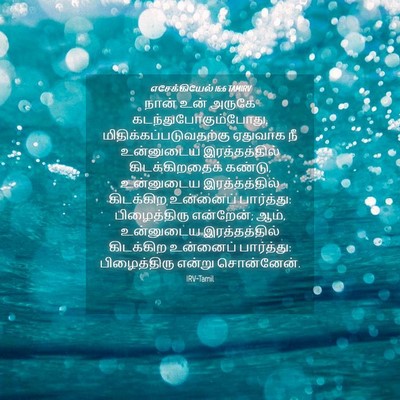 Picture 04 - எசேக்கியேல் 16:6 TAMIRV - நான் உன் அருகே - Bible Verse Picture