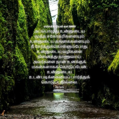 Picture 04 - எசேக்கியேல் 16:61 TAMIRV - அப்பொழுது - Bible Verse Picture