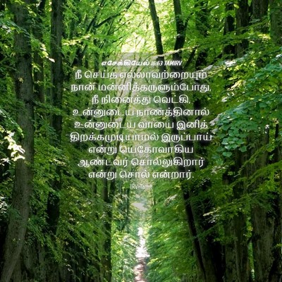 Picture 04 - எசேக்கியேல் 16:63 TAMIRV - நீ செய்த - Bible Verse Picture