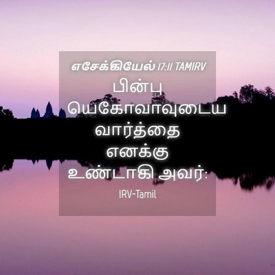 Picture 04 - எசேக்கியேல் 17:11 TAMIRV - பின்பு - Bible Verse Picture