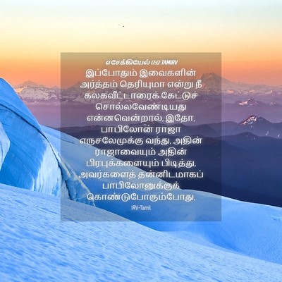 Picture 04 - எசேக்கியேல் 17:12 TAMIRV - இப்போதும் - Bible Verse Picture