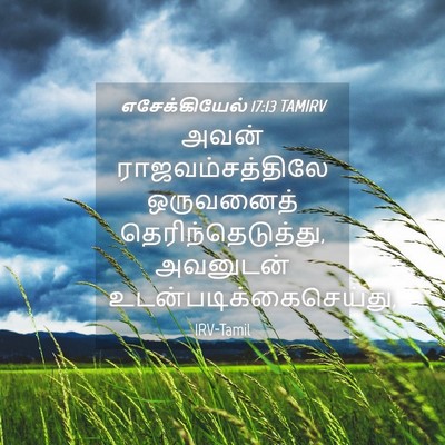 Picture 04 - எசேக்கியேல் 17:13 TAMIRV - அவன் - Bible Verse Picture
