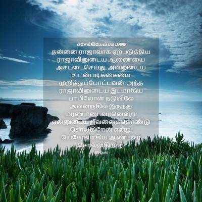 Picture 04 - எசேக்கியேல் 17:16 TAMIRV - தன்னை ராஜாவாக - Bible Verse Picture