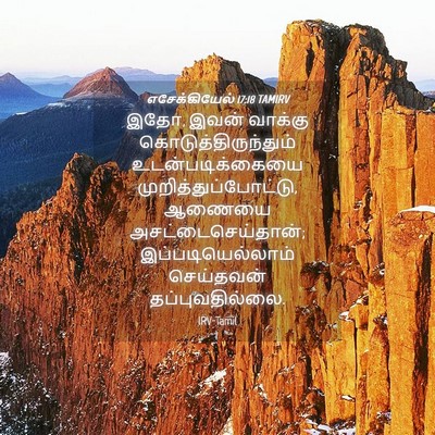 Picture 04 - எசேக்கியேல் 17:18 TAMIRV - இதோ, இவன் வாக்கு - Bible Verse Picture
