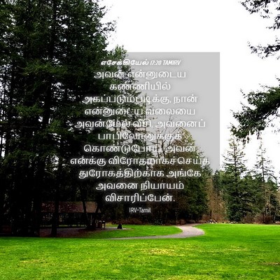 Picture 04 - எசேக்கியேல் 17:20 TAMIRV - அவன் என்னுடைய - Bible Verse Picture
