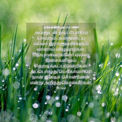 Picture 04 - எசேக்கியேல் 17:21 TAMIRV - அவனுடன் - Bible Verse Picture