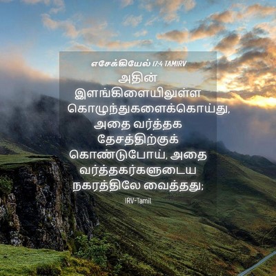 Picture 04 - எசேக்கியேல் 17:4 TAMIRV - அதின் - Bible Verse Picture