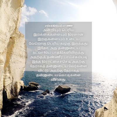 Picture 04 - எசேக்கியேல் 17:7 TAMIRV - அன்றியும் பெரிய - Bible Verse Picture