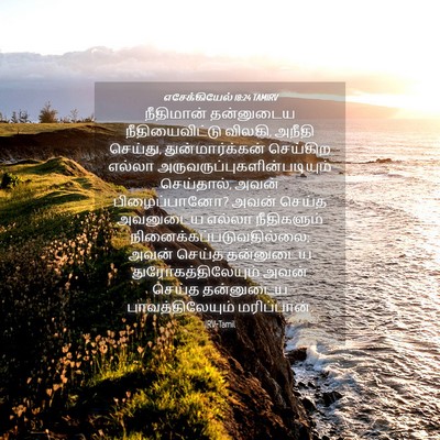 Picture 04 - எசேக்கியேல் 18:24 TAMIRV - நீதிமான் தன்னுடைய - Bible Verse Picture