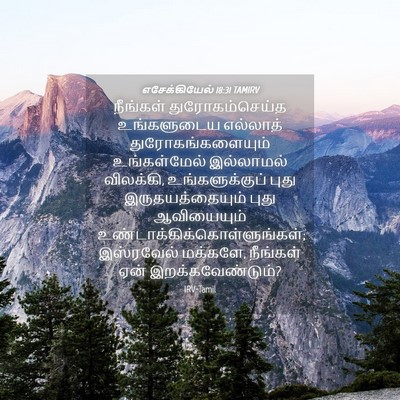 Picture 04 - எசேக்கியேல் 18:31 TAMIRV - நீங்கள் - Bible Verse Picture