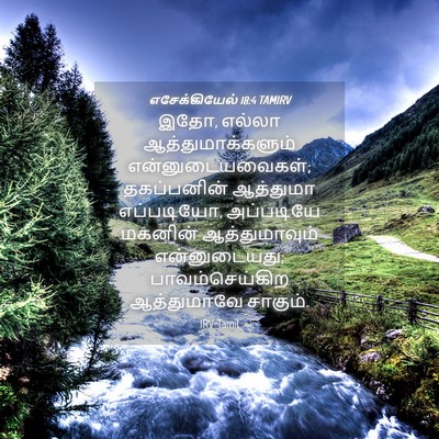 Picture 04 - எசேக்கியேல் 18:4 TAMIRV - இதோ, எல்லா - Bible Verse Picture