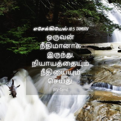 Picture 04 - எசேக்கியேல் 18:5 TAMIRV - ஒருவன் நீதிமானாக - Bible Verse Picture