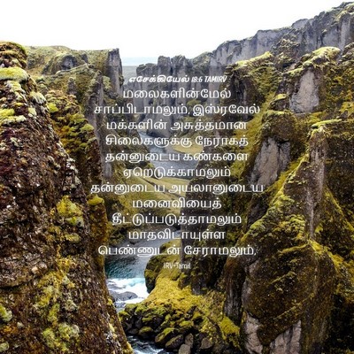 Picture 04 - எசேக்கியேல் 18:6 TAMIRV - மலைகளின்மேல் - Bible Verse Picture