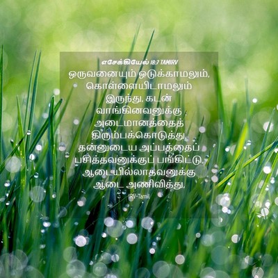 Picture 04 - எசேக்கியேல் 18:7 TAMIRV - ஒருவனையும் - Bible Verse Picture