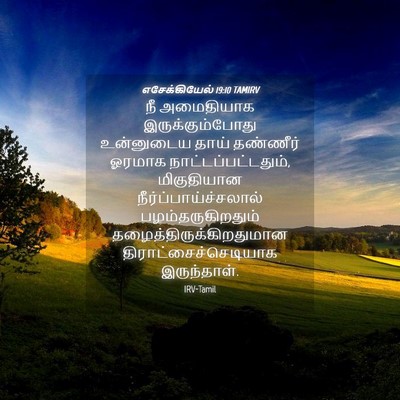 Picture 04 - எசேக்கியேல் 19:10 TAMIRV - நீ அமைதியாக - Bible Verse Picture