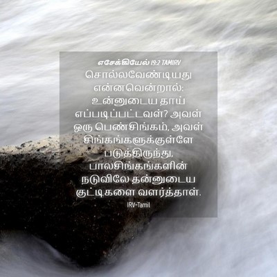 Picture 04 - எசேக்கியேல் 19:2 TAMIRV - சொல்லவேண்டியது - Bible Verse Picture