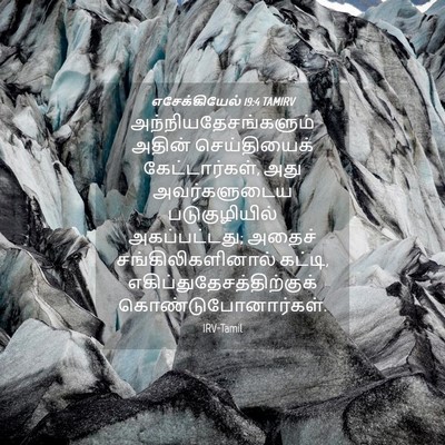 Picture 04 - எசேக்கியேல் 19:4 TAMIRV - அந்நியதேசங்களும் - Bible Verse Picture