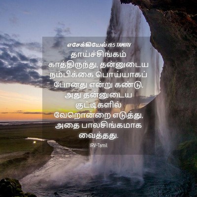 Picture 04 - எசேக்கியேல் 19:5 TAMIRV - தாய்ச்சிங்கம் - Bible Verse Picture