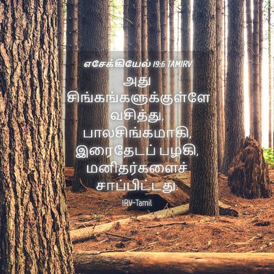 Picture 04 - எசேக்கியேல் 19:6 TAMIRV - அது - Bible Verse Picture