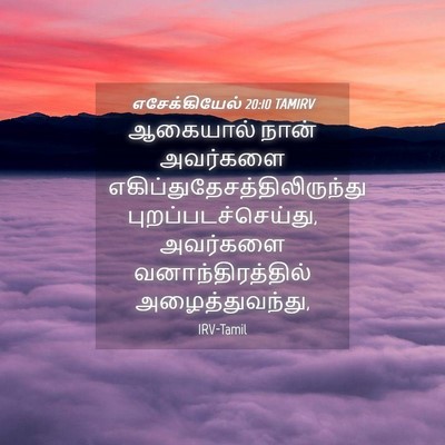 Picture 04 - எசேக்கியேல் 20:10 TAMIRV - ஆகையால் நான் - Bible Verse Picture